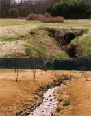 X-Stream Restoration: daylighting urban streams Before Before After After Courtesy North Carolina State