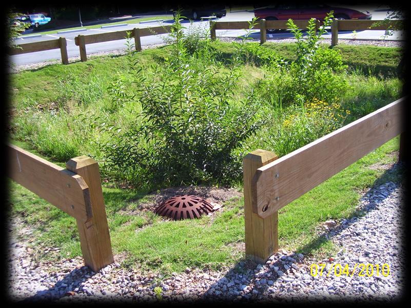 Bioswales Bioswales are vegetated, mulched, or