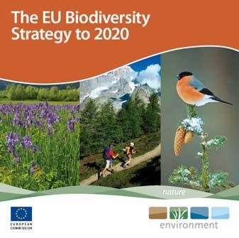 EU Biodiversity Strategy for 2020 COM(2011)244 Our life insurance, our natural capital HEADLINE TARGET Halting the loss of biodiversity and the degradation of ecosystem services in the EU by 2020,