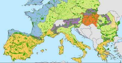 European bird species have unfavourable conservation status EU Health Check 2009 «50% of