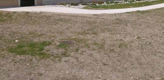 3320 gallon tank (Garden Irrigation, seasonal use) Pervious grass pavement Subsurface infiltration bed,