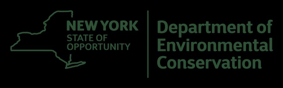 1 Green Infrastructure Codes and Ordinances Emily Vail Hudson River Estuary Program NYS Department of