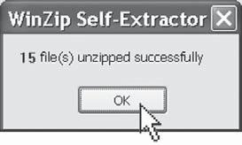 Click the Unzip button in the WinZip Self-Extractor window.