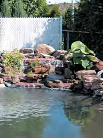 For example, if your pond is 20 ft long x 30 ft wide x 3 ft deep, you will need a liner that is 28 ft x 38 ft.