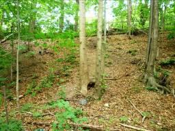 Site Constraints & Opportunities Steep slopes and elevation change Safety, erosion, tree cover,
