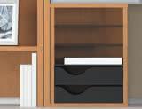 WALL MOUNT STORAGE Cabinets with frosted doors and open shelf