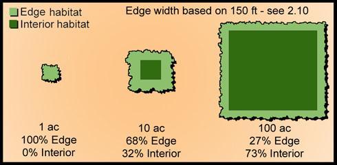 Landscape model: path-corridor-matrix Patch (mosaic) - relatively homogeneous area, which is