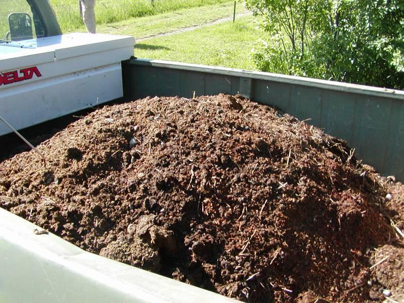 Site & Soil Preparation Consider the aspects of site selection Soil must provide good