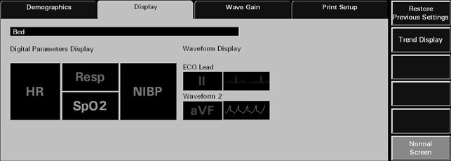 Display Tab Patient Setup Functions FIGURE 5-21 Display Tab (ViewStation) 5.4.