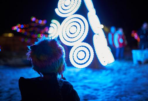 ZOOLIGHTS November - January s favorite holiday tradition with over 1.5 million lights and activities for all ages. Rates $14.95 Adult $11.