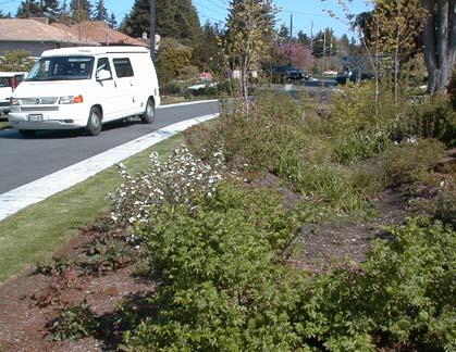 Innovative storm water management techniques use vegetated sloped swales that draw run-off from roads and filter pollutants on-site and through the soil.