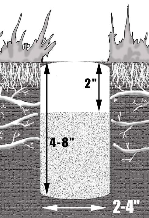 Figure 8. Vertical mulching holes should be 4-8 inches deep and 2-4 inches wide. Figure 5 shows a good spacing pattern for the holes.
