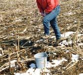 Good Fertilizer Recommendations Depend On: A representative soil sample Accurate soil and crop history Good laboratory testing techniques Valid interpretation of results Knowing nutrients removed by