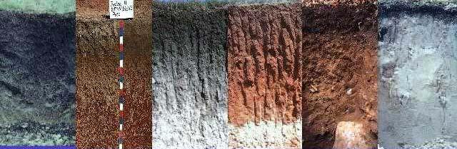 Formation Time Development of horizons Soil Horizons Or, how a soil differs from the surface to