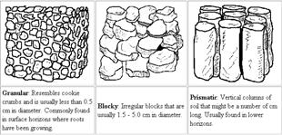 Soil Structure Combination of individual soil particles, with soil organic matter, into larger units Necessary