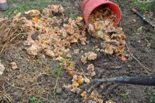 The use of food waste speed up the decomposition of plant waste. The use of EM Bokashi helps to preserve the food waste and reduce the smell in no dig method.