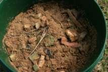 2. Bokashi Composting at Home (Case 1) Equipment 3 buckets of food waste was processed during the period, the food waste were mainly vegetables, fruits and expired