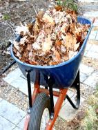Hot Process Composting Batch mixed all at once. Intention - heat Minimum size - 1 cu. yard: 3 x3 x3 Attention to the C:N ratio- 2lbs. brown with 1lb.