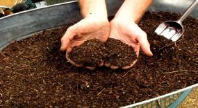 Finished Compost Contains Humus Dormant, living &