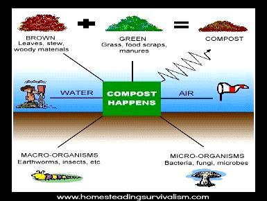 Greens and Browns The NTG requirement for decomposition of browns is why in general we put: Undecomposed organic mulches on top of the soil. Decomposed organics (compost) on top of or in the soil.
