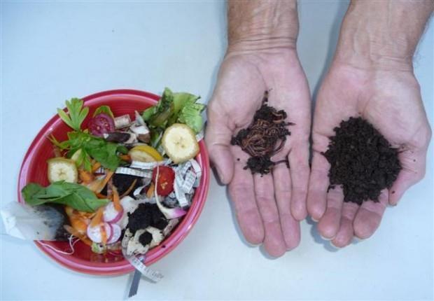 Worm Diet Worms can eat all of your vegetable kitchen scraps such as melon rinds, lettuce, banana peels, vegetable scraps, etc.