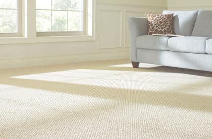 2 CONTENTS GETTING STARTED 3 WE HAVE YOU COVERED CONSIDERING CARPET No one beats our selection of the most popular styles, colors