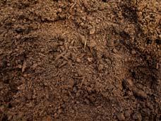 Compost is the result of the natural decomposition process that turns the nutrients from once-living materials into a rich, organic component of soil, humus (HYOU-mus).