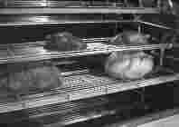 To advance the racks with the Meat Doors open, depress the Red Rotisserie Advance Button on ovens with standard controls, (On digital controls, press the UP arrow button) or step on the rotisserie