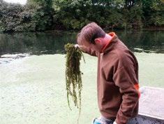 water. Contact a licensed aquatic herbicide applicator for assistance with herbicide use.