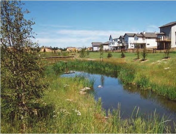 6 ECOLOGY, PARKS AND AMENITIES CONTEXT AND APPROACH The majority of lands within Stillwater have been historically cultivated and used for agriculture uses, with the exception of four wetland areas.