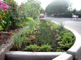 URBAN BIORETENTION Stormwater Planters Expanded Tree Pits Stormwater Curb Extensions VERSION 1.