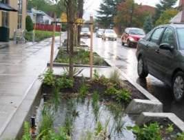 Typically, urban bioretention is installed within an urban streetscape or city street right-of-way, urban landscaping beds, tree pits and plazas, or other features within an Urban Development Area.