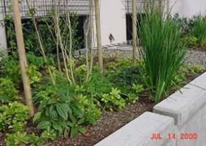 Rather, urban bioretention is intended to be incorporated into small fragmented drainage areas such as shopping or pedestrian plazas within a larger urban development.