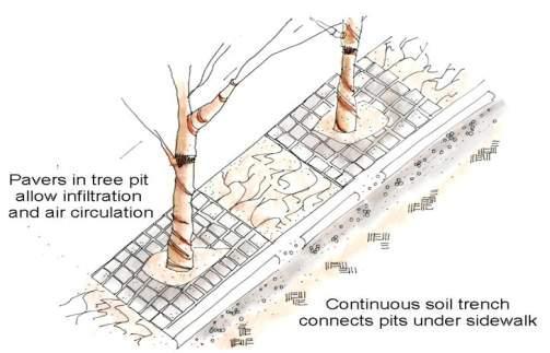Portland, Oregon has thorough construction details for stormwater curb extensions and expanded tree pits. These include details for addressing utility house connections. http://www.portlandonline.