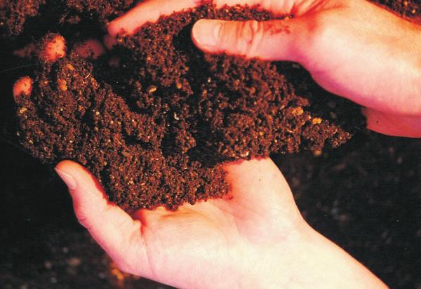 Organic Matter An average soil is composed of 5 percent organic matter. Organic matter is the accumulation of decayed or partially decayed plants and animals, roots, and living organisms.