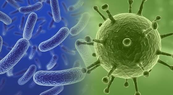 Higher frequency of Noro viruses and MRSA infections