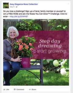 /roses-you-can-grow-challenge/ Point-of-Purchase