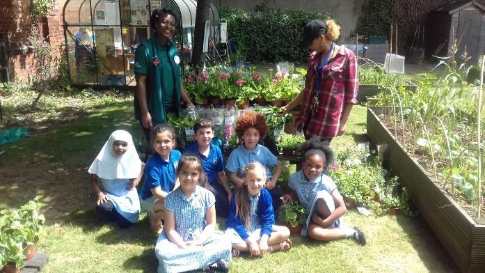 Pupils took part in a practical activity and transplanted cabbage outdoors and chillies in pots indoors.
