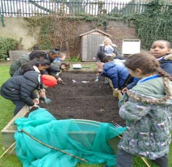 16/02/2017 Half Term 18 23/02/2017 YR1- YR5 Plan your garden and choose your crops Recap lesson 17 Pupils gained knowledge in the process of planning and organising seeds and designated planting