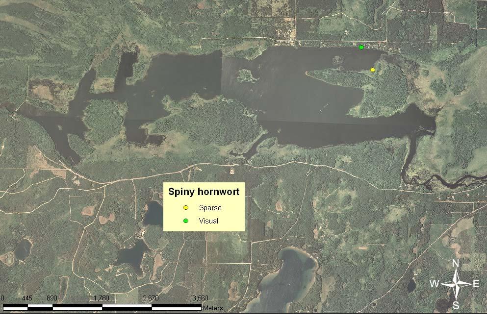 A-3. Location and density of spiny hornwort in the St. Croix/Gordon Flowage.