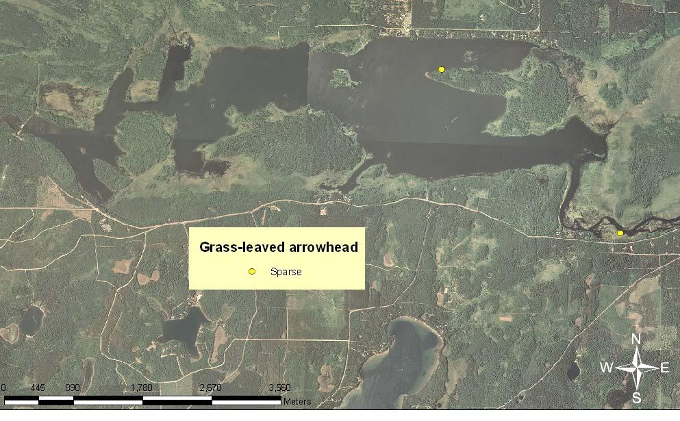 Croix/Gordon Flowage. A-5. Location and density of softstem bur-reed in the St.