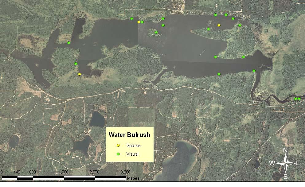 A-9. Location and density of water bulrush in the St. Croix/Gordon Flowage.