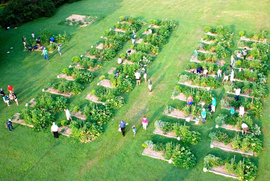Community Gardening Basics: Benefits Food Production Community organizing and