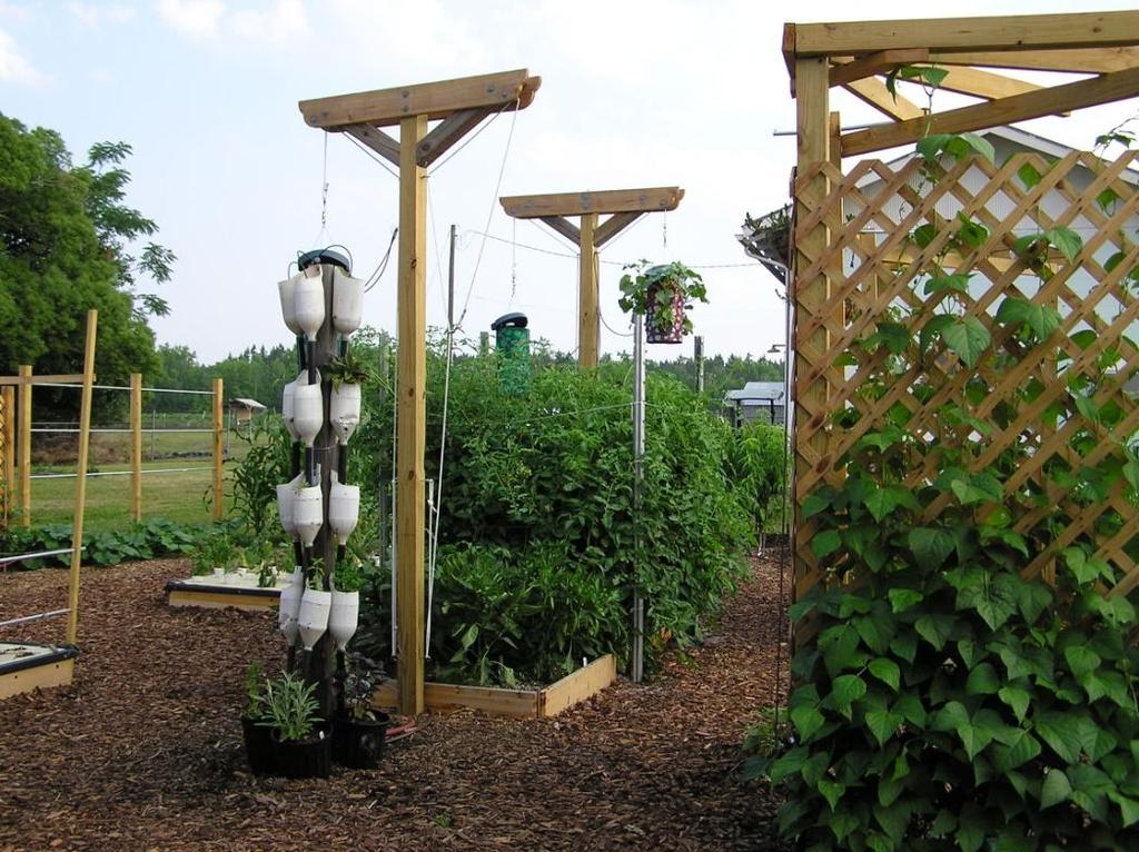 Vertical hydroponics Hanging gardens