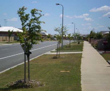 3.4. Planning All new streets, reserves, parks, housing developments and industrial developments should be fully landscaped as per the following requirements. 3.4.1.