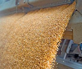 Dust Collection Tips to Keep Free-From Foods Safe from Cross-Contamination by David Steil, Chris Fluharty and Kevin Tucker, market managers for Camfil APC If you manufacture allergen-free or