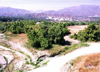2.1 HABITAT RESTORATION The conservation and restoration of open space areas within the Arroyo Seco is the cornerstone of creating a cohesive park and one that embodies the natural heritage of this