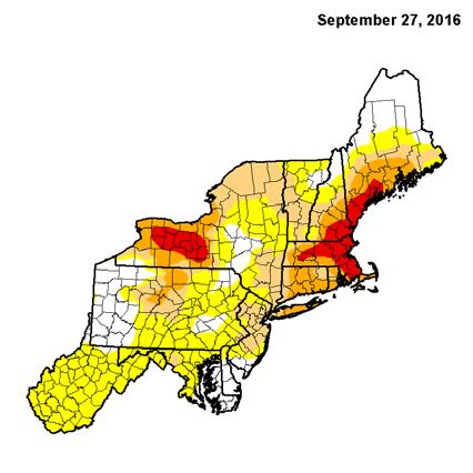 2016 Worst drought in over 50 years The season started with below normal soil moisture Frost event April 5-6 Rainfall totals from 34-71% below normal for June-August in Western NY LOFP Counties