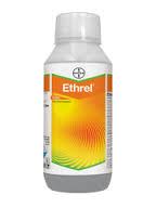 acid) Ethrel, Ethephon[(2-cholorethyl)
