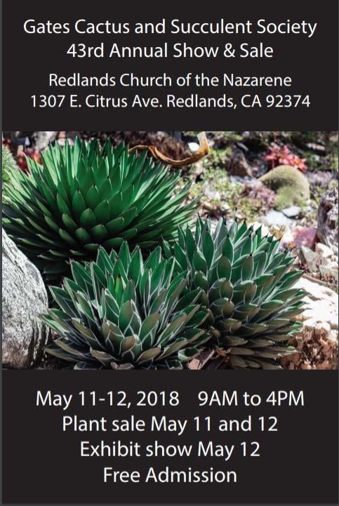 626-405-3504 MAY 5-6 MAY 6 MAY 11-12 MAY 19-20 SUNSET CACTUS AND SUCCULENT SOCIETY SHOW AND SALE VETERANS MEMORIAL CENTER, GARDEN ROOM 4117 OVERLAND AVE., CULVER CITY, CA. INFO.